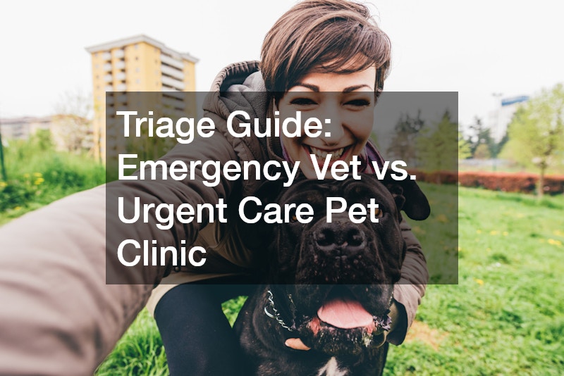 Triage Guide  Emergency Vet vs. Urgent Care Pet Clinic